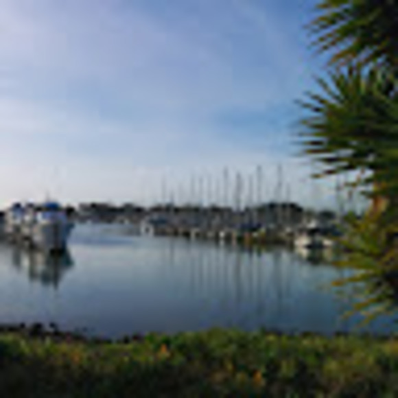 Meet your Posher, Brienne - Picture 1 of 1